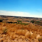 DSCN6279