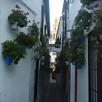DSC02375