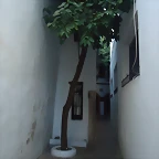 DSC02376