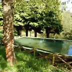 DSCN2062