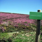 DSCF2547