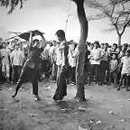 masacre universidad - tailandia-1976