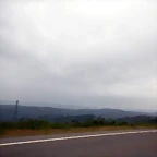 DSCN6541