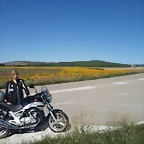 SAM_1302