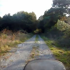 DSCN0517