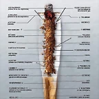 CIGARRO-AUTOPSIA DE ASESINO