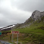 DSCN4371