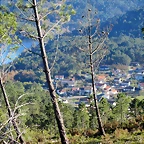 50-IMG_4292