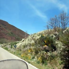 DSCN0998