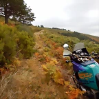 DSCN9902