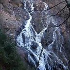 DSCN6679