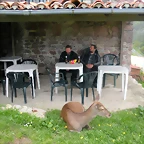 DSCN4659