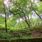 34-IMG_1706