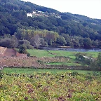 DSCN5367