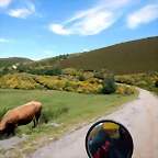 DSCN8281