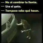 GATO