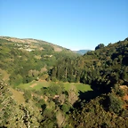 DSCN0181