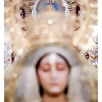 besamanos virgen misericordia coronada granada inmaculada 2019 antonio orantes 7