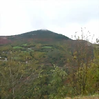 DSCN5959