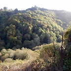 DSCN8445