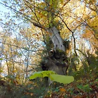 DSCN9314