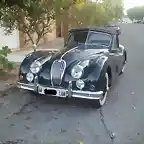 jaguar2