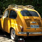 CAS_3528
