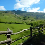 DSCN0685