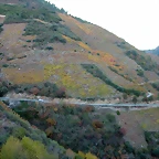 DSCN6554