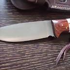 Kodiak (1)