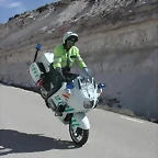 VERDE3