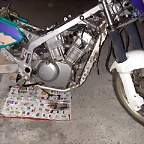 DSCN1560