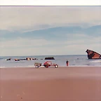 img028