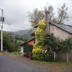 DSCN4734