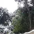 panoramica de la parte trasera del tibidabo nevada