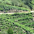 23-IMG_7273