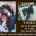 Yacko