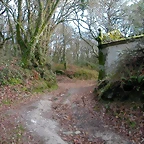 DSCN7204