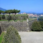 036-IMG_2918