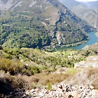 DSCN4641