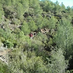 PICT0015