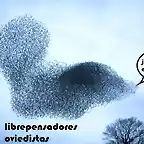 librepensadores