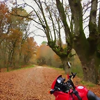 35-IMG_4177