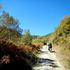 DSCN7846
