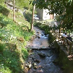DSCN6751