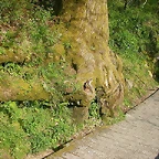 DSCN6747