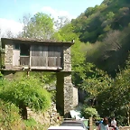 DSCN6750