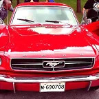 mustang