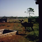 PIC04893
