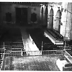 Elche basilica 59